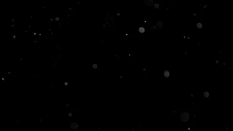 Natural Organic Dust Particles Float On Black Background. Dust In Motion. Vidéo 305883018