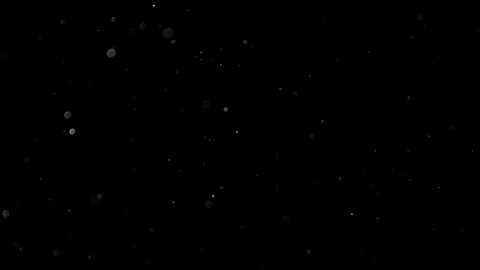 Natural Organic Dust Particles Float On Black Background. Dust In Motion. Vidéo 305883024