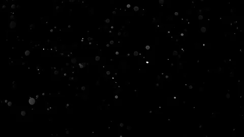 Natural Organic Dust Particles Float On Black Background. Dust In Motion. Vidéo 305883032