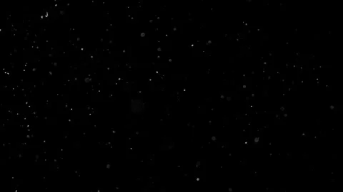 Natural Organic Dust Particles Float On Black Background. Dust In Motion. Vidéo 305883219