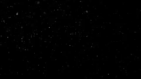 Natural Organic Dust Particles Float On Black Background. Dust In Motion. Vidéo 305883468