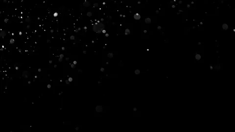 Natural Organic Dust Particles Float On Black Background. Dust In Motion. 库存影片 314197191