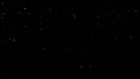 Natural Organic Dust Particles Float On Black Background. Dust In Motion. Stock Footage 314197205