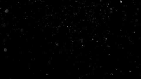 Natural Organic Dust Particles Float On Black Background. Dust In Motion. 库存影片 314197210