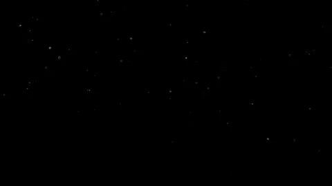 Natural Organic Dust Particles Float On Black Background. Dust In Motion. 库存影片 314197219