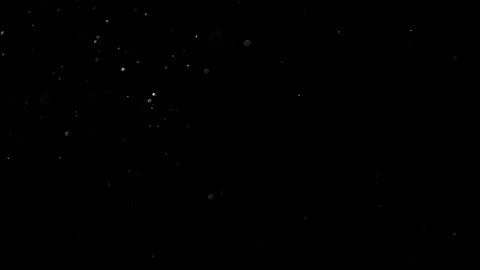 Natural Organic Dust Particles Float On Black Background. Dust In Motion. 库存影片 314197248