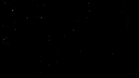 Natural Organic Dust Particles Float On Black Background. Dust In Motion. Stock Footage 314197255