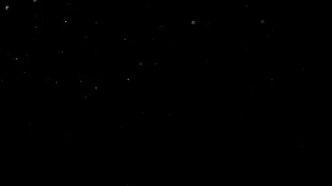 Natural Organic Dust Particles Float On Black Background. Dust In Motion. Vidéo 314197270