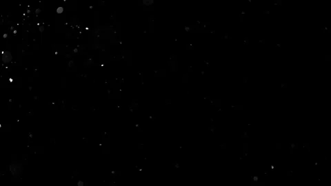 Natural Organic Dust Particles Float On Black Background. Dust In Motion. 库存影片 314197276