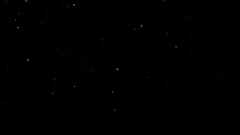 Natural Organic Dust Particles Float On Black Background. Dust In Motion. 库存影片 314197328