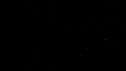 Natural Organic Dust Particles Float On Black Background. Dust In Motion. Stock Footage 314197334