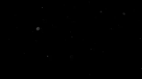 Natural Organic Dust Particles Float On Black Background. Dust In Motion. Vidéo 314197335