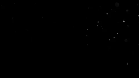 Natural Organic Dust Particles Float On Black Background. Dust In Motion. 库存影片 314197401