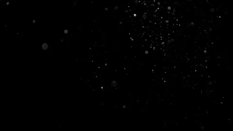 Natural Organic Dust Particles Float On Black Background. Dust In Motion. 库存影片 314197437