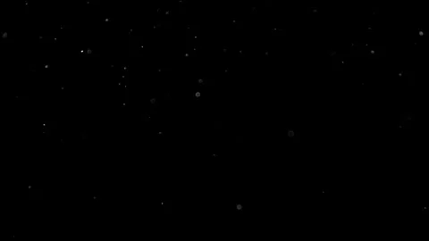 Natural Organic Dust Particles Float On Black Background. Dust In Motion. 库存影片 314197454