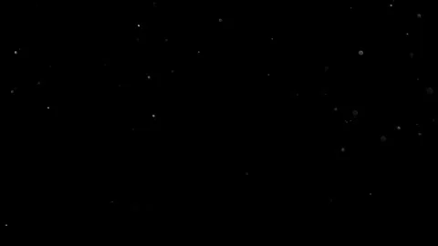 Natural Organic Dust Particles Float On Black Background. Dust In Motion. Stock Footage 314197456