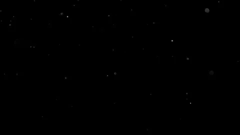Natural Organic Dust Particles Float On Black Background. Dust In Motion. Vidéo 314197461