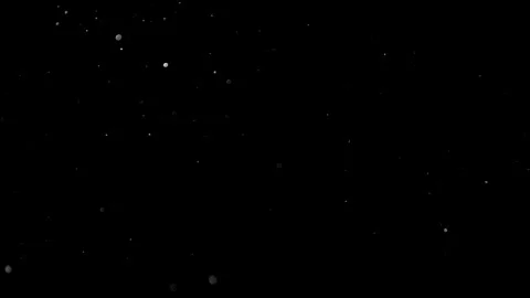 Natural Organic Dust Particles Float On Black Background. Dust In Motion. Vidéo 314197499