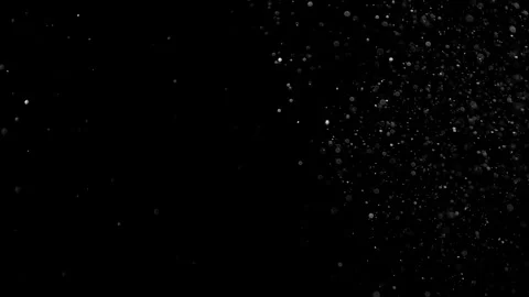 Natural Organic Dust Particles Float On Black Background. Dust In Motion. Vidéo 314197534