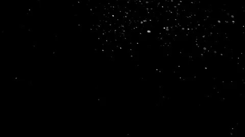 Natural Organic Dust Particles Float On Black Background. Dust In Motion. Stock Footage 314197553