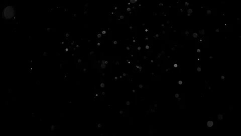 Natural Organic Dust Particles Float On Black Background. Dust In Motion. Vidéo 314197569