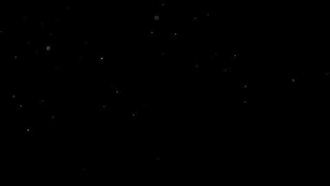 Natural Organic Dust Particles Float On Black Background. Dust In Motion. Stock Footage 314197570