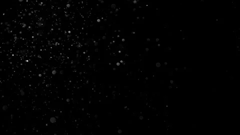 Natural Organic Dust Particles Float On Black Background. Dust In Motion. Vidéo 314197586