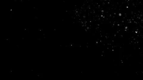 Natural Organic Dust Particles Float On Black Background. Dust In Motion. Vidéo 314197604