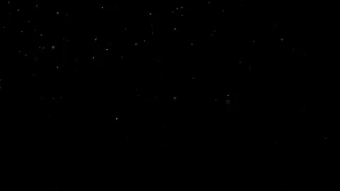 Natural Organic Dust Particles Float On Black Background. Dust In Motion. Vidéo 314197608
