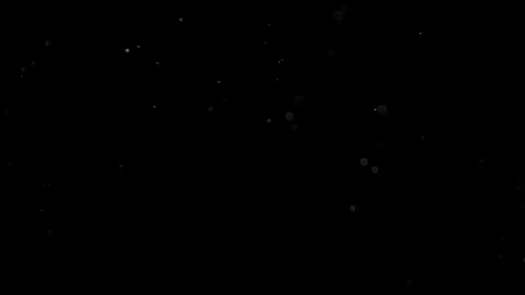 Natural Organic Dust Particles Float On Black Background. Dust In Motion. Stock Footage 314197619