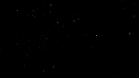 Natural Organic Dust Particles Float On Black Background. Dust In Motion. Vidéo 314197666