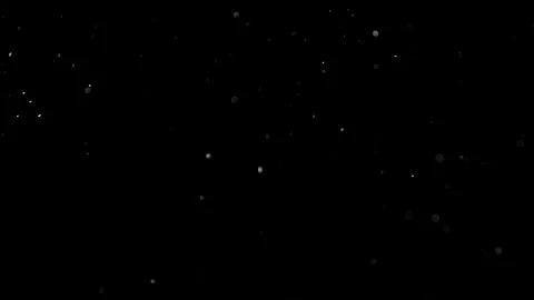 Natural Organic Dust Particles Float On Black Background. Dust In Motion. 库存影片 314197685