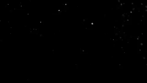 Natural Organic Dust Particles Float On Black Background. Dust In Motion. 库存影片 314197699