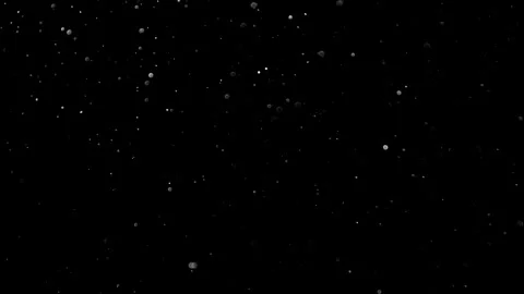 Natural Organic Dust Particles Float On Black Background. Dust In Motion. Stock Footage 314197717