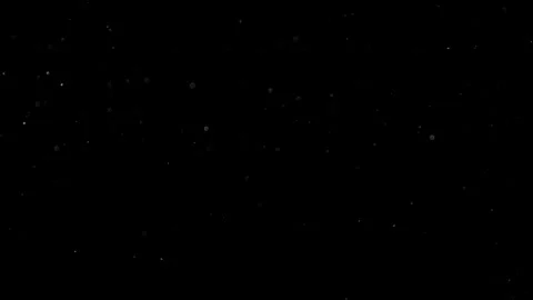 Natural Organic Dust Particles Float On Black Background. Dust In Motion. Stock Footage 314197722