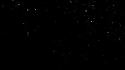 Natural Organic Dust Particles Float On Black Background. Dust In Motion. Stock Footage 314197726