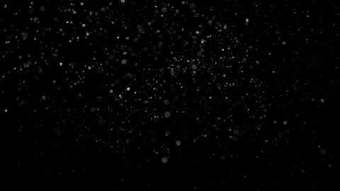 Natural Organic Dust Particles Float On Black Background. Dust In Motion. Stock Footage 314197742