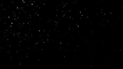 Natural Organic Dust Particles Float On Black Background. Dust In Motion. Vidéo 314197752