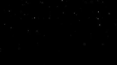 Natural Organic Dust Particles Float On Black Background. Dust In Motion. Stock Footage 314197756