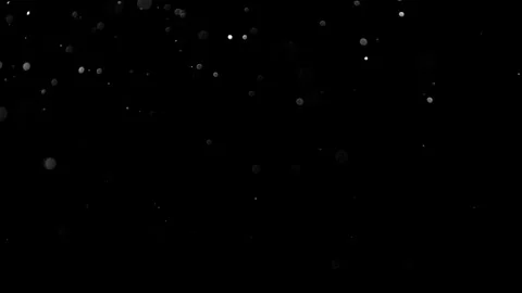 Natural Organic Dust Particles Float On Black Background. Dust In Motion. Stock Footage 314197764