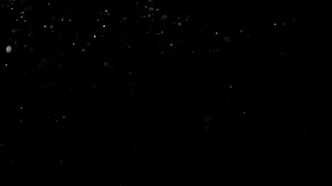 Natural Organic Dust Particles Float On Black Background. Dust In Motion. 库存影片 314197773