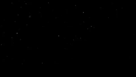 Natural Organic Dust Particles Float On Black Background. Dust In Motion. Stock Footage 314197778