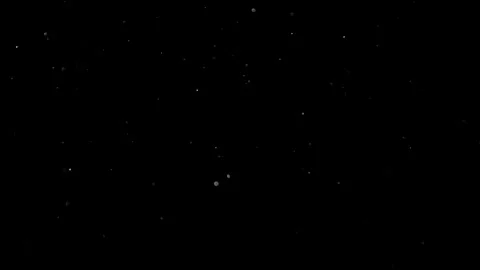 Natural Organic Dust Particles Float On Black Background. Dust In Motion. 库存影片 314197782