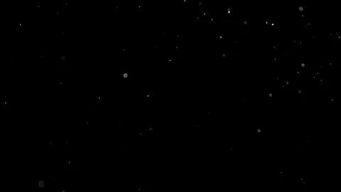 Natural Organic Dust Particles Float On Black Background. Dust In Motion. Stock Footage 314197789