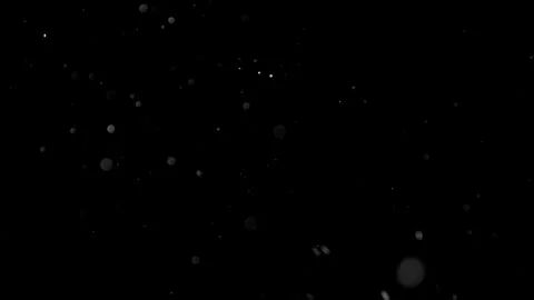 Natural Organic Dust Particles Float On Black Background. Dust In Motion. Stock Footage 314197798