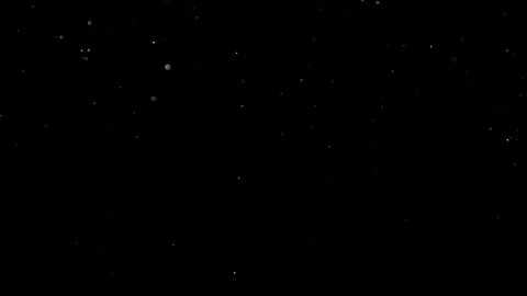 Natural Organic Dust Particles Float On Black Background. Dust In Motion. Stock Footage 314197821