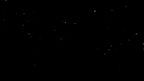 Natural Organic Dust Particles Float On Black Background. Dust In Motion. 库存影片 314197831