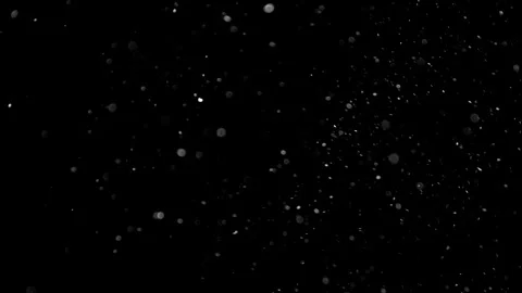 Natural Organic Dust Particles Float On Black Background. Dust In Motion. Stock Footage 314197839