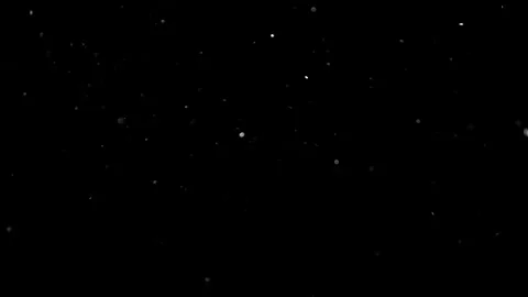 Natural Organic Dust Particles Float On Black Background. Dust In Motion. 库存影片 314197842