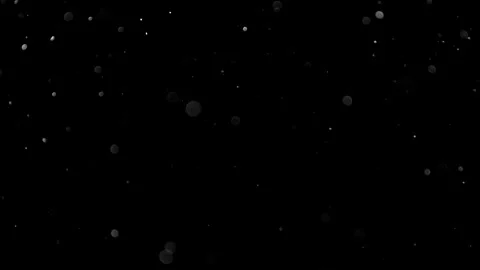 Natural Organic Dust Particles Float On Black Background. Dust In Motion. 库存影片 314197844